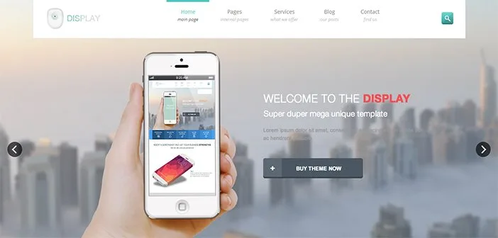 Display WordPress Theme
