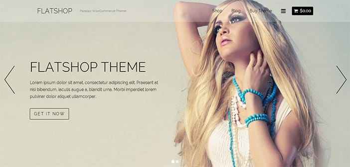 Flatshop WordPress Theme – Ecommerce Theme