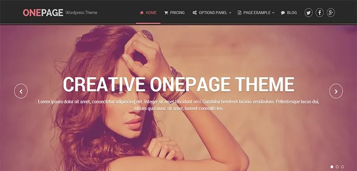 OnePage WordPress Theme