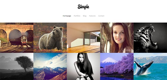 Simple WordPress Theme – Portfolio Theme