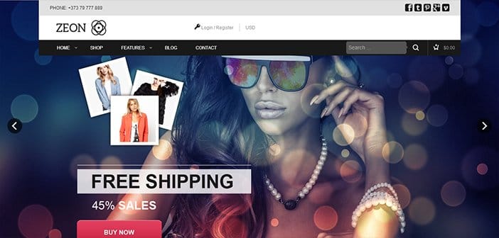 Zeon WordPress Theme – eCommerce Theme