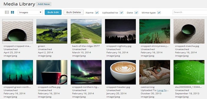 WordPress-4.0 Grid View