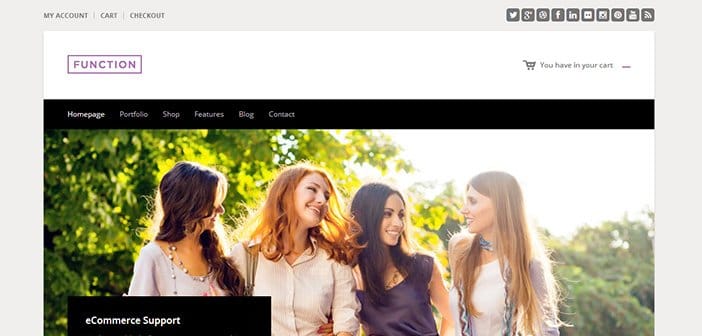 Function WordPress Theme – WooCommerce WordPress Theme