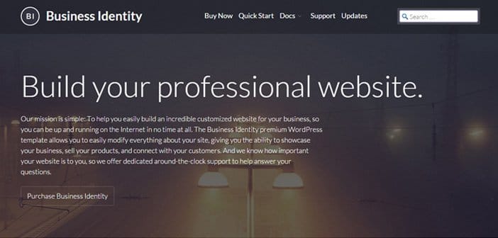 Business Identity – A Proffesional WordPress Theme