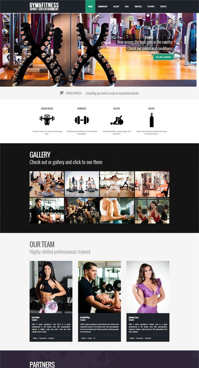 Gym & Fitness WordPress Theme