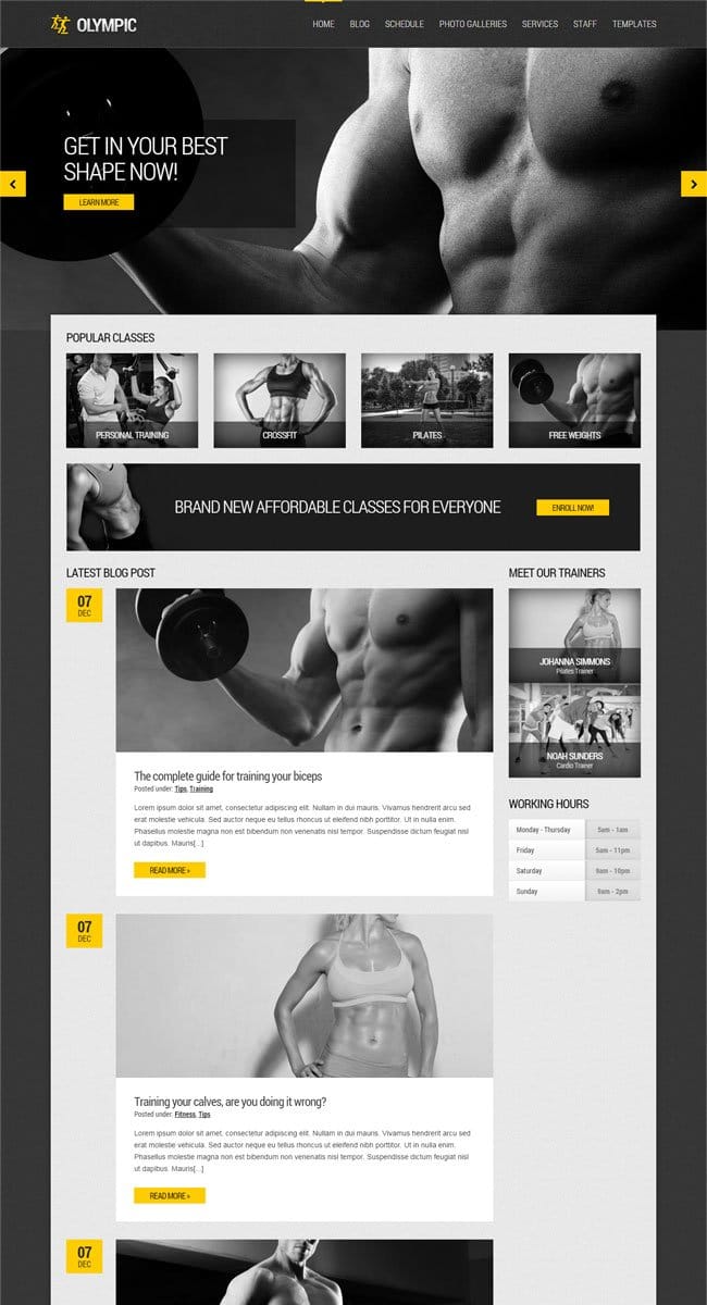 Olympic WordPress Theme