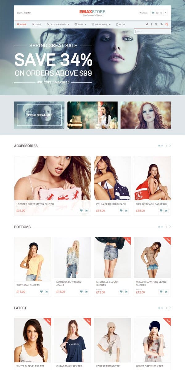 eMaxStore WordPress Theme