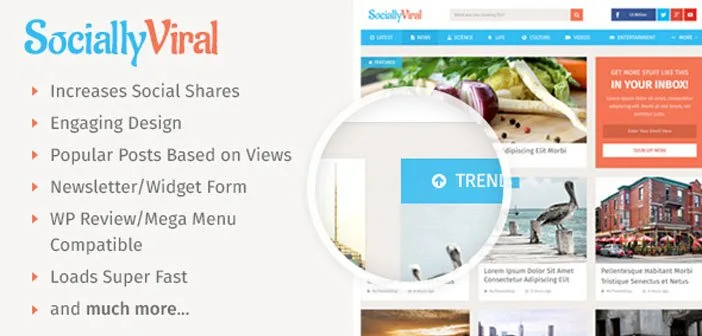 SociallyViral - A Beautiful & SEO Friendly WordPress Theme