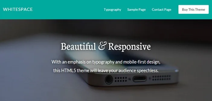 WhiteSpace Pro WordPress Theme