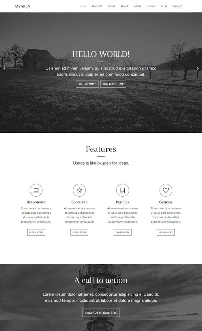 Awaken WordPress Theme