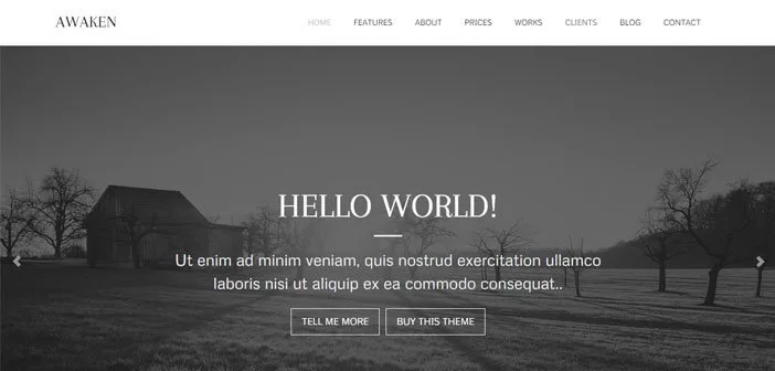 Awaken WordPress Theme