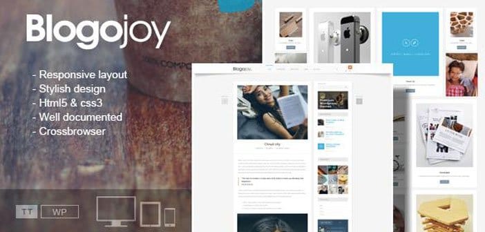 Blogojoy – A Minimalist Blog WordPress Theme