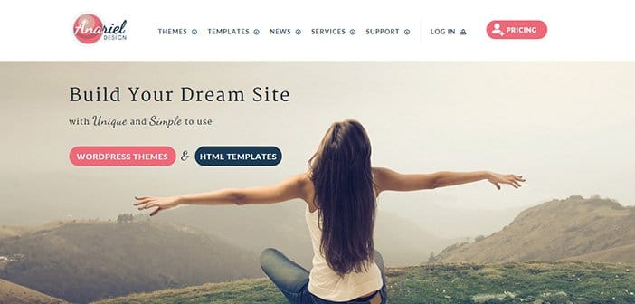 Best Premium WordPress Themes From Anariel Design