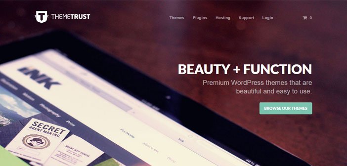 ThemeTrust Buy 1 Get 1 Free – Beautiful WordPress Theme