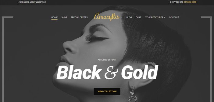 Amaryllis – A Fully Functional eCommerce WordPress Theme
