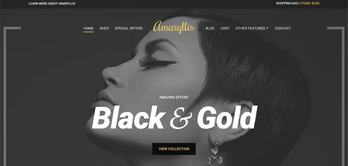 Amaryllis eCommerce WordPress Theme