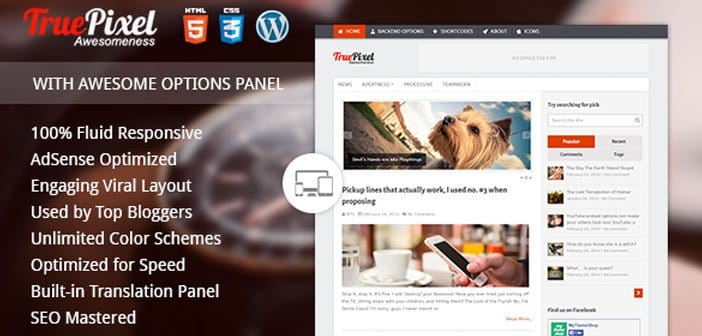TruePixel – A Responsive & Felxible WordPress Blog Theme