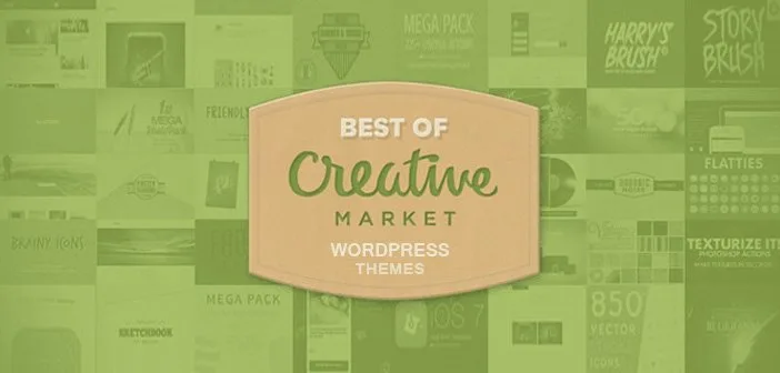 WordPress Themes