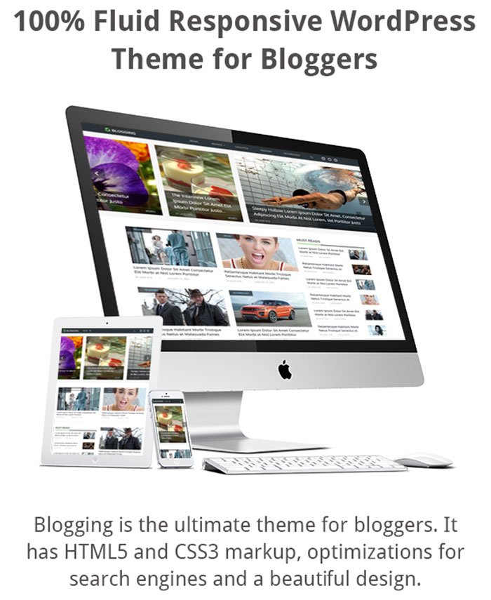 Blogging WordPress Theme 