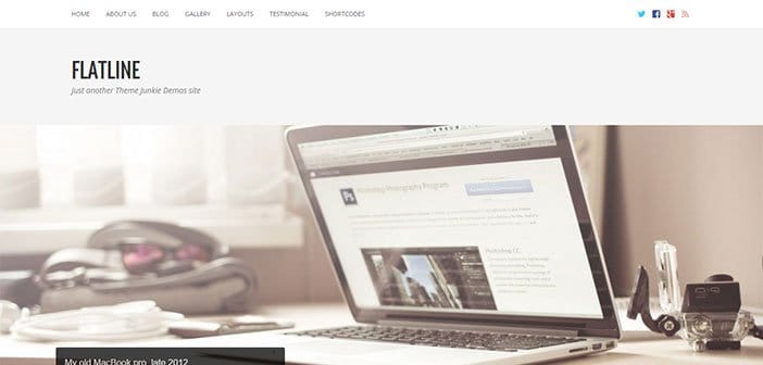 FlatLine – A Responsive Business WordPress Theme