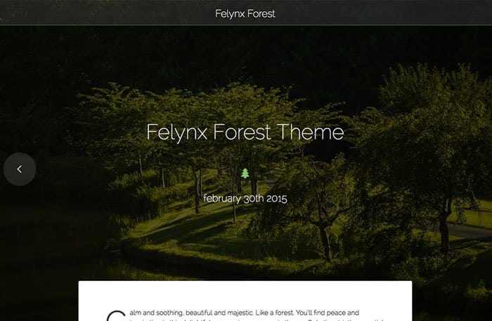 felynx-forest