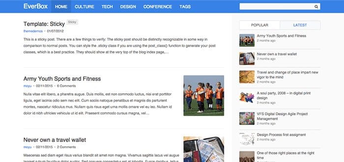 EverBox WordPress Theme