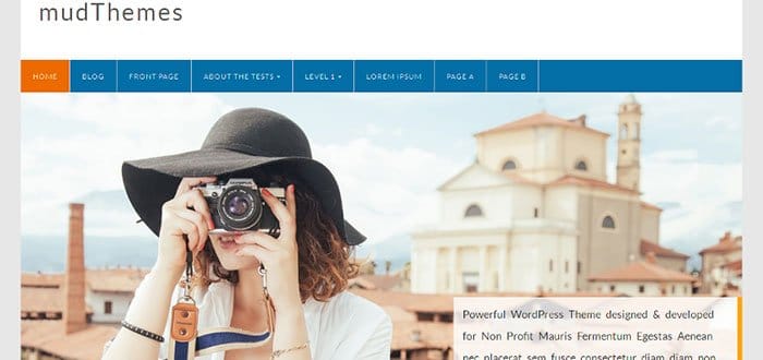 Profound WordPress Theme