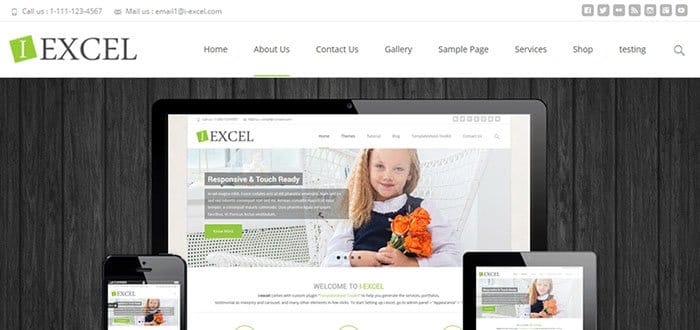 i excel wordpress theme