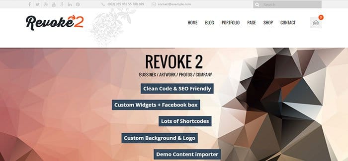 revoke wordpress theme