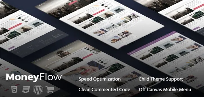 MoneyFlow WordPress Theme