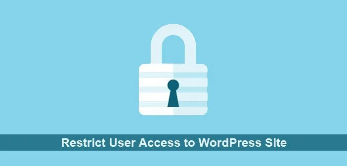 Restrict User Access to WordPress Site