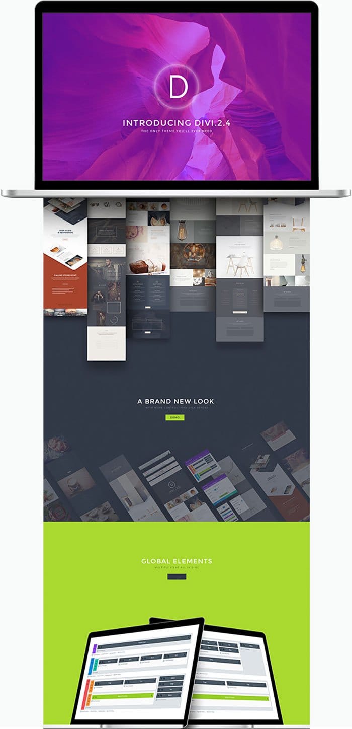 divi-2-4-landingdemo
