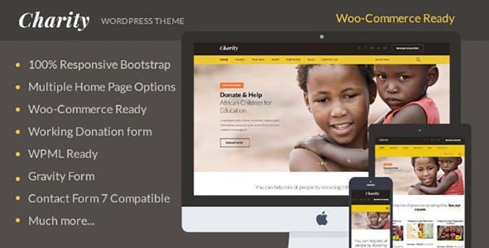 Charity Nonprofit NGO Fundraising WordPress Theme