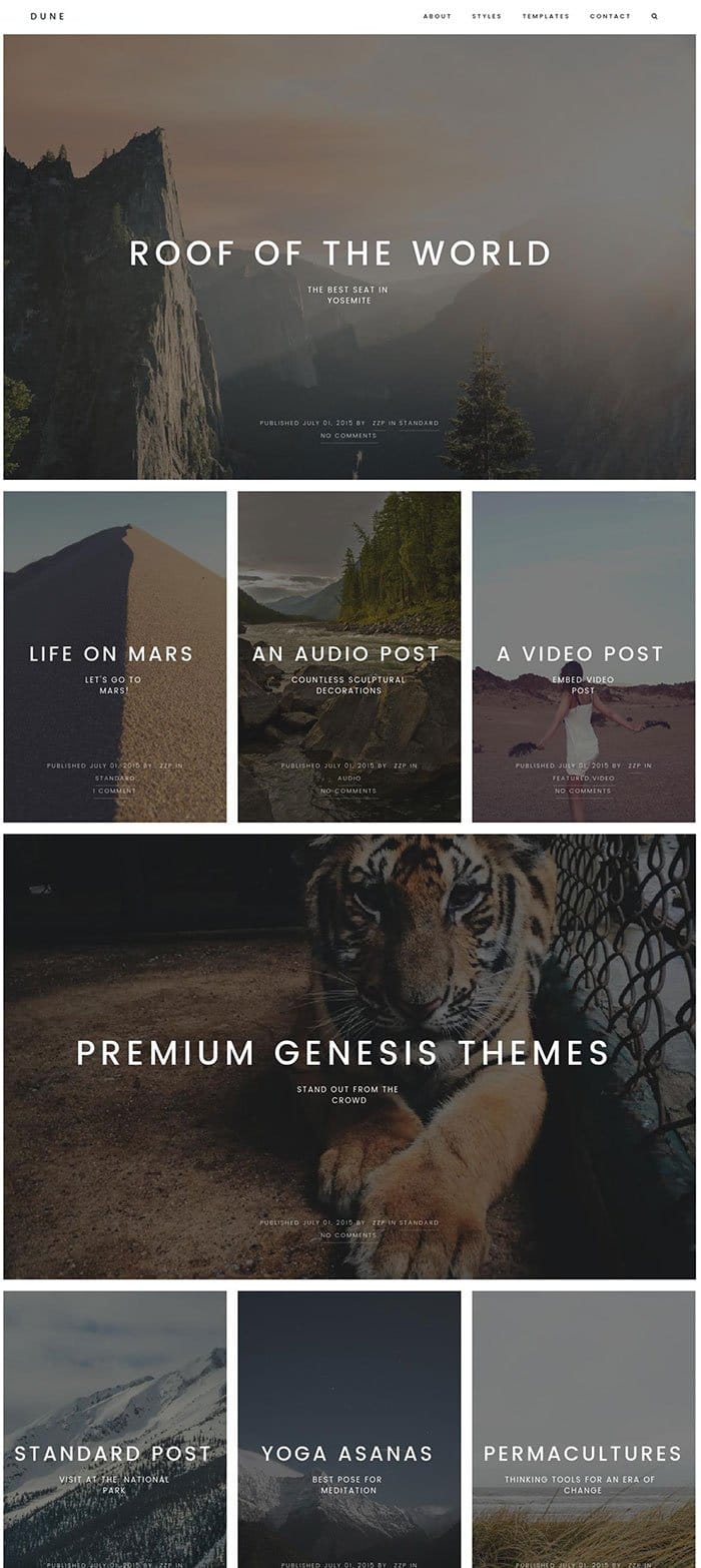 Dune WordPress Theme Zigzagpress