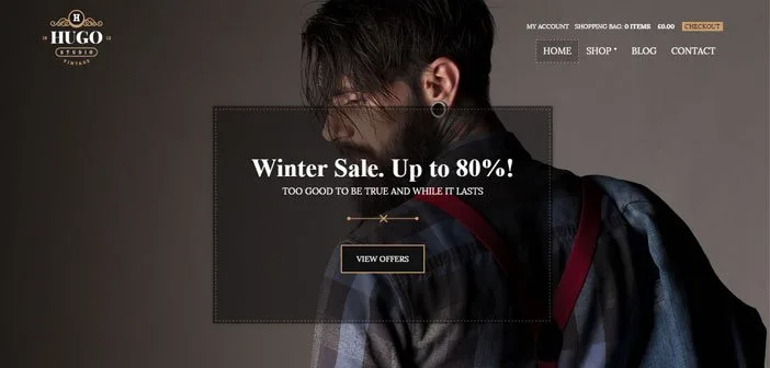 hugo wordpress theme