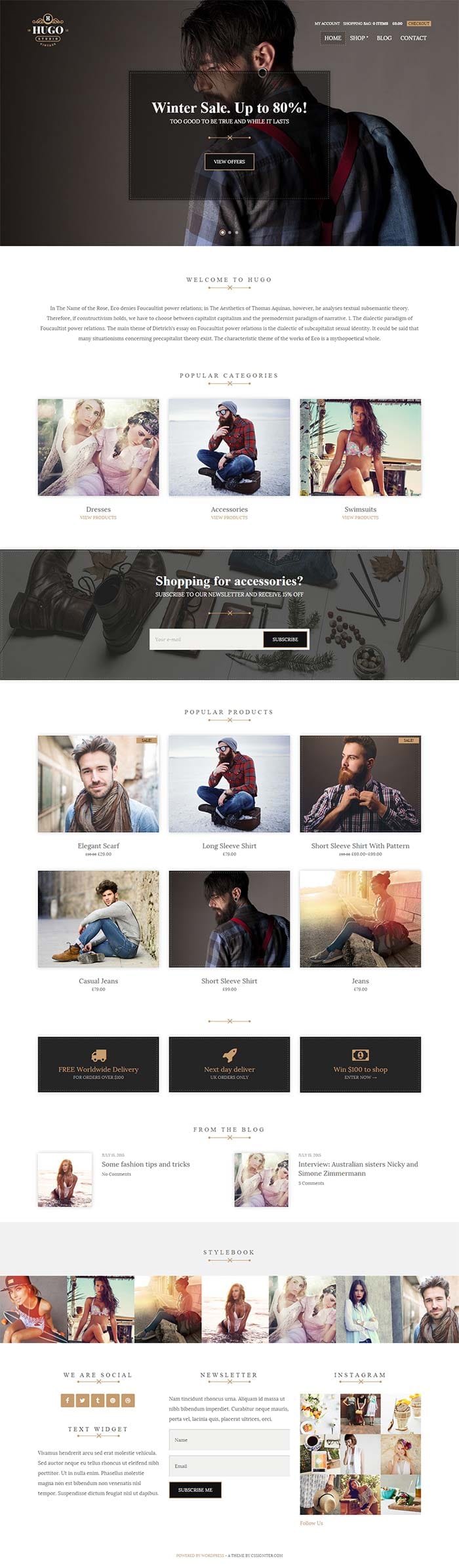 hugo wordpress theme