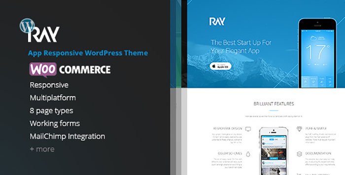 ray app responsive wordpress theme