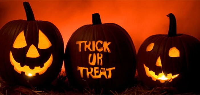 WordPress Halloween Offer – Discounts and Coupons 2015