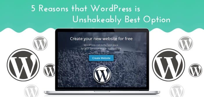 5 Reasons that WordPress is Unshakeably Best Option