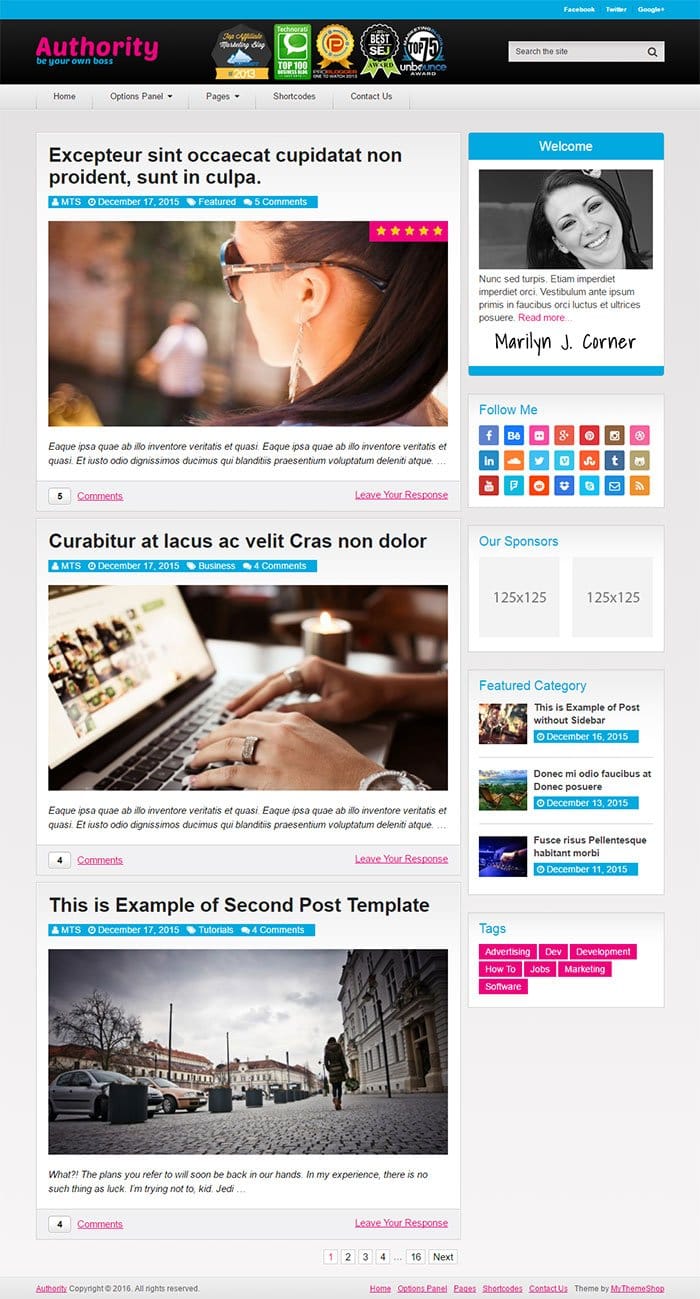 Authority WordPress Theme