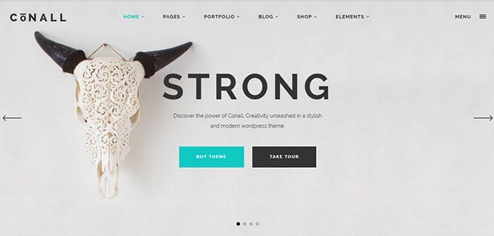 Conall – A Clean & Beautiful Multipurpose WordPress Theme