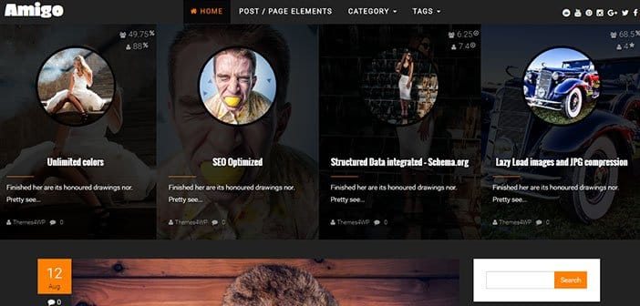 Amigo – Free Review WordPress Theme