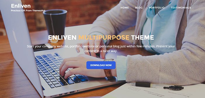 Enliven - Beautiful Multipurpose WordPress Theme