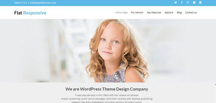 Flat Responsive - Business WordPress Theme