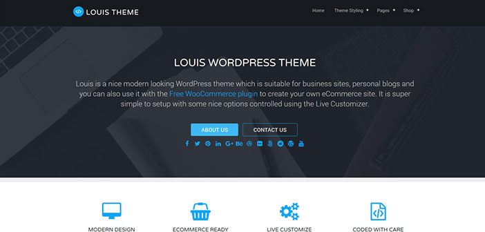 Louis Free Business WordPress Theme