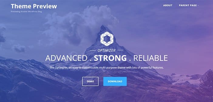 Optimizer - Best Minimal WordPress Theme