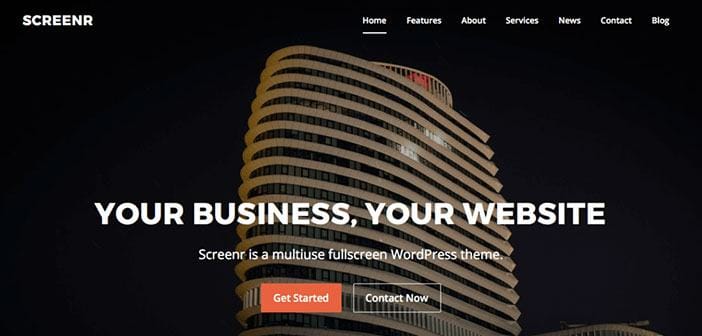 Screenr Fullscreen Parallax WordPress Theme