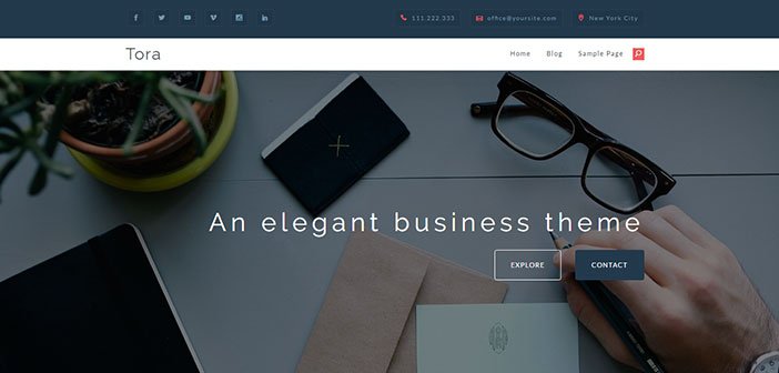 Tora - Elegant and Responsive Business Theme