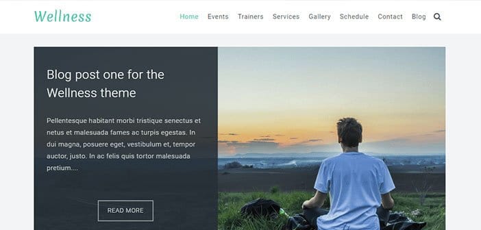 Wellness - Health & Wellness WordPress Theme