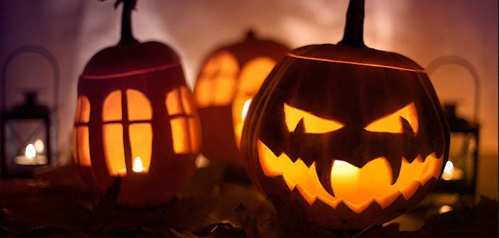 Halloween Offer – Best WordPress Deals and Coupons Roundup 2016